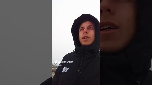красота