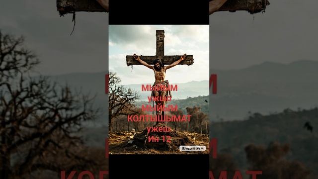 scene_output.mp4