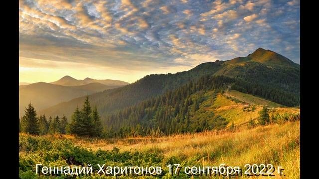 467 О Полянке 17. 09. 2022 г.