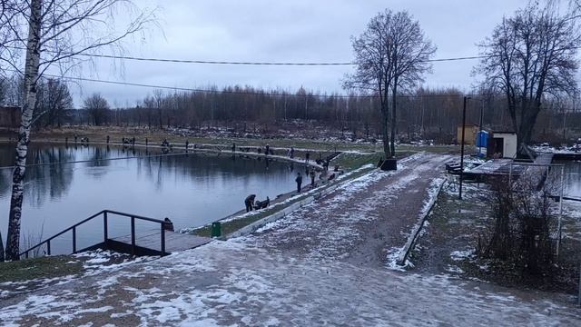 1000017641.mp4