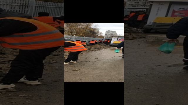 Искусственный интеллект