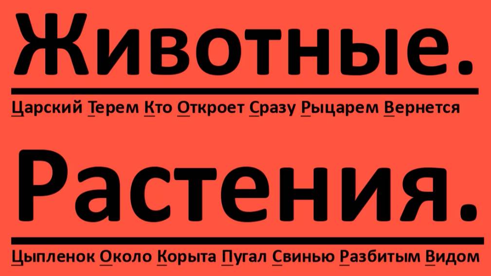 Основные систематические группы организмов таблица 11 Установите соответствие между особенностями строения кровеносной системы животны
