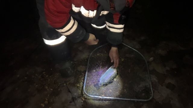 Резина с пастой