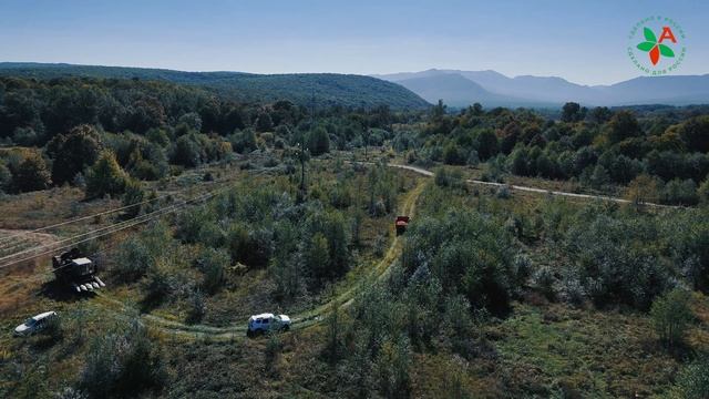 Член_НССиС_о_Восковидной_кукурузе_с_уборкой_родительских_форм_в_апшеронске