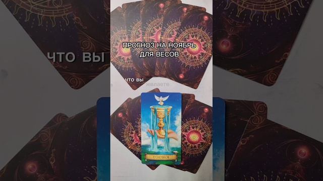 Таро-прогноз на ноябрь для весов.Связь со мной https://vk.com/elenapomocsh #таро #эзотерика #таролог