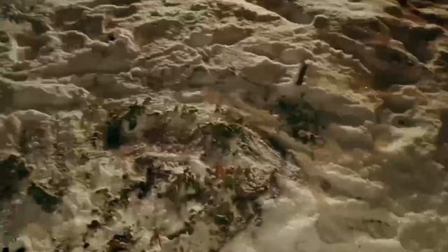 А что Я откапал зимой на грядке?)