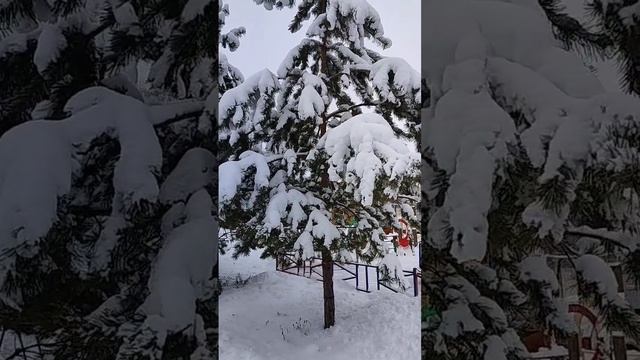 Красота❄🌲❄🌲❄🌲❄