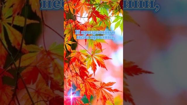 Осень - не повод для грусти,Осень – пора полюбить!🍁❤️🍂