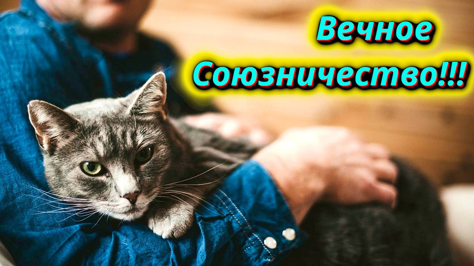 Люди и Кошки. Вечное Союзничество