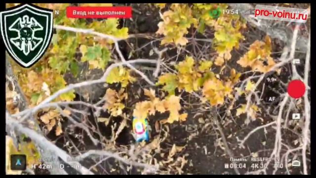 Кадры работы штурмовых групп 39 гвардейской мотострелковой бригады на юге Кураховского направления.