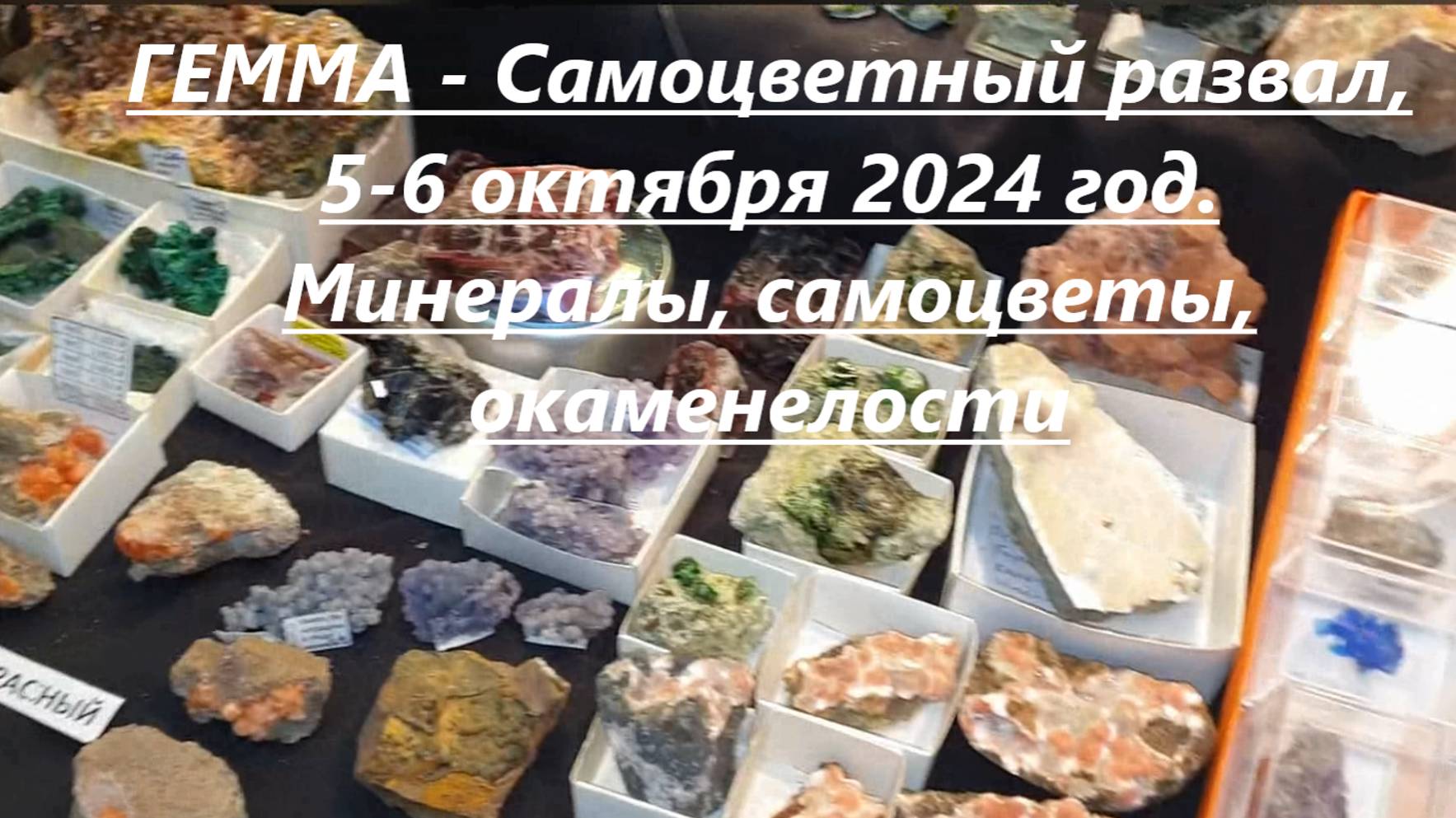 Москва, ГЕММА - Самоцветный развал, 5-6 октября 2024 год. Минералы, самоцветы, окаменелости.