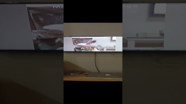 лысый попугай.