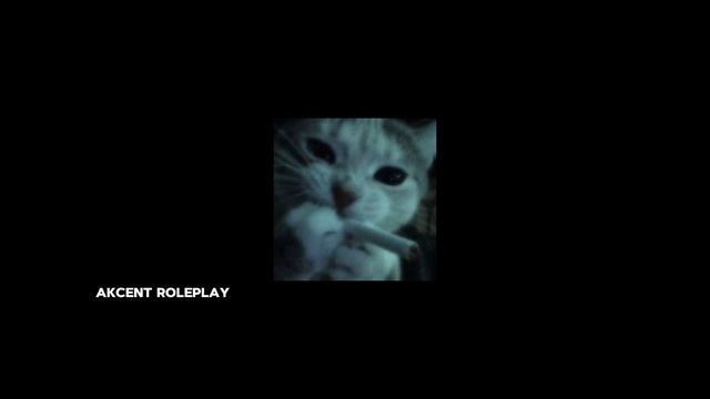 Город дорог MONA, MACAN speed up