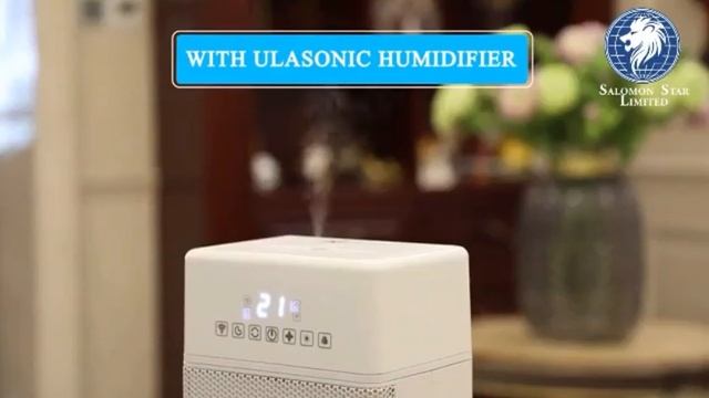 2021-2022 Salomon Star Limited New Products Heater With Humidifier Electric Fan Heater