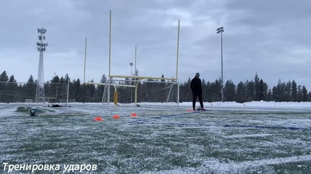 Тренировка ударов / Kick training