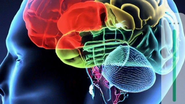 Цивилизации трансформируют биоробот человека