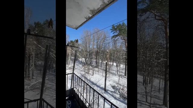 Луга, п. п-т Зеленый Бор, 2