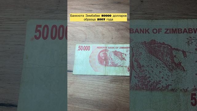 Банкнота Зимбабве 🇿🇼 50000 долларов 2007 года 🔥