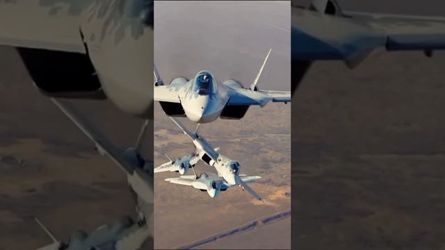 VID_20241108_135117_240.mp4