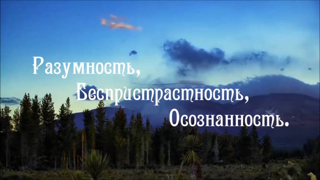 Расходуем Силы Грамотно