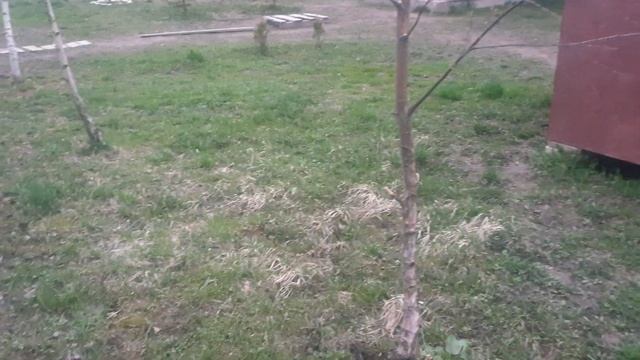 #оканавливание #дренаж