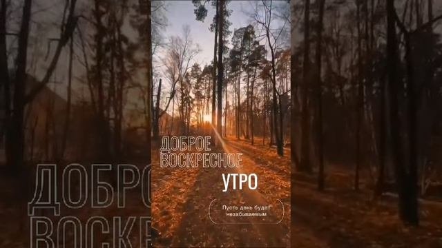 удачи с каждым днём