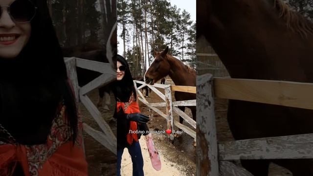 Люблю лошадей ❤️ А вы?