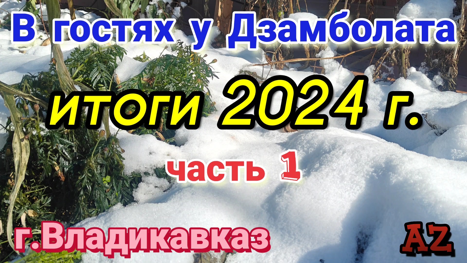 В гостях у Дзамболата. Итоги 2024 года, ч.1