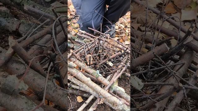 Костёр #ПолезноеВидео #когдаскучно #НЕЧЕМЗАНЯТЬСЯ #безгаджетов #shorts