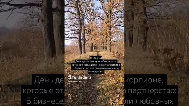 08.11.2024 - денежные врата в Скорпионе✨.mp4