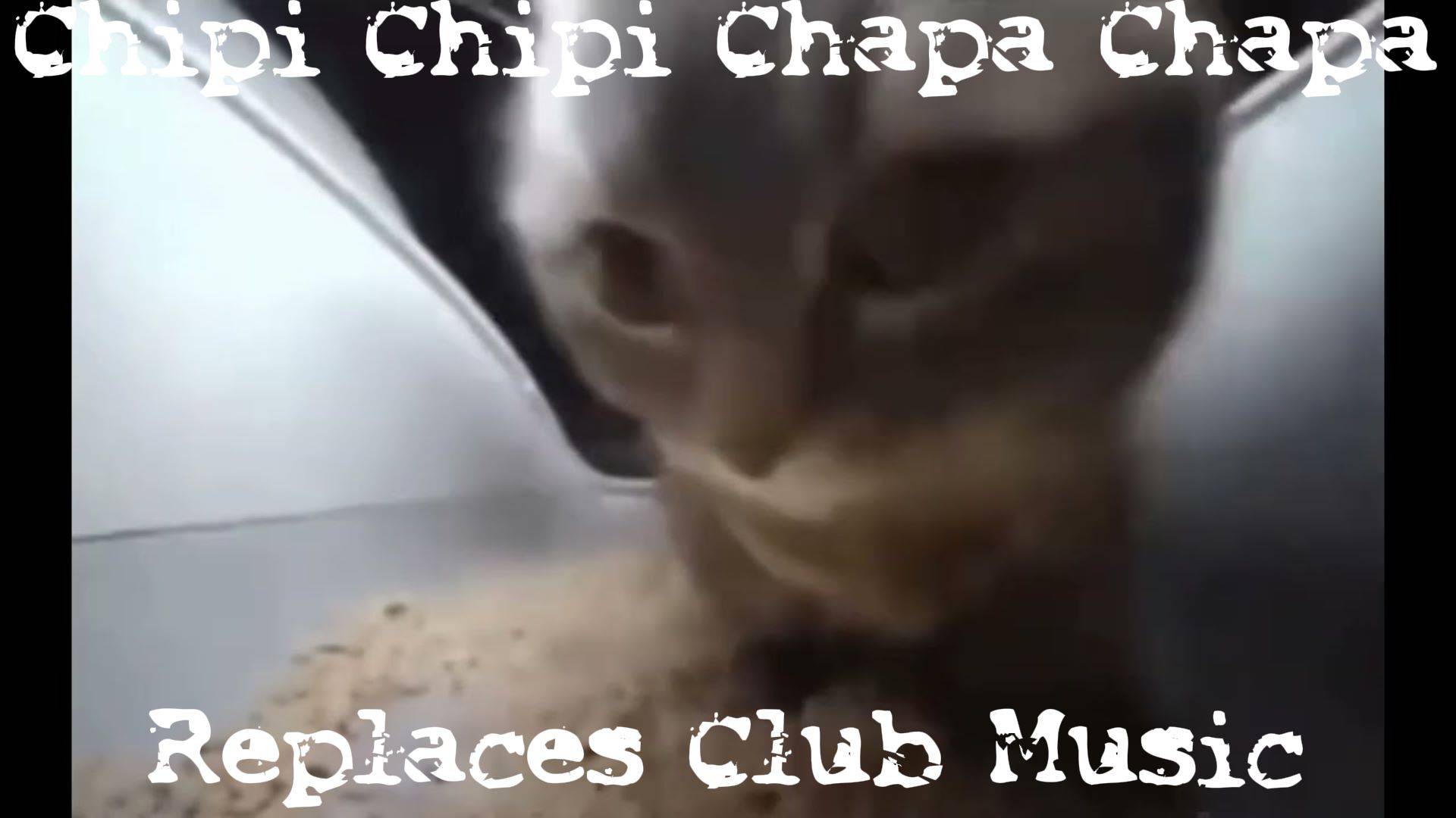 chipi chipi chapa chapa dubi dubi daba daba