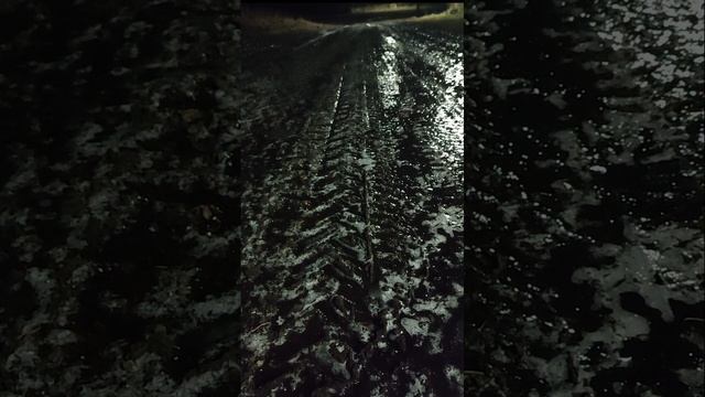 День Сибири ❄️