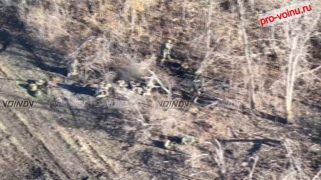 Видео наступления к северу от Богоявленки в сторону Трудового.