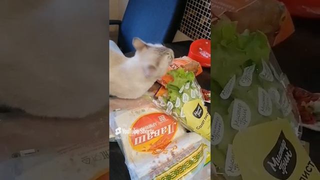 Чарльз за зож