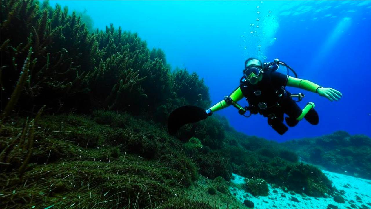 🌊🐠 Подводное плавание в Шарм-эль-Шейхе Залив Шаркс 🐠🌊.