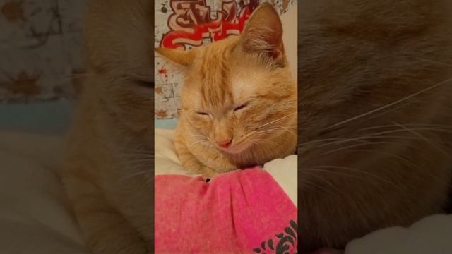 1000016608.mp4