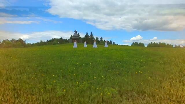 VID_20240715_112212_998.mp4