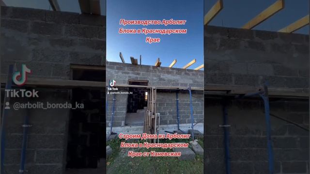 строительство домов из арболит блока