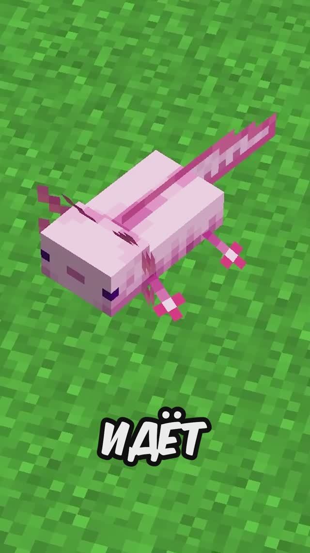 Какой самый быстрый моб в майнкрафт 😳