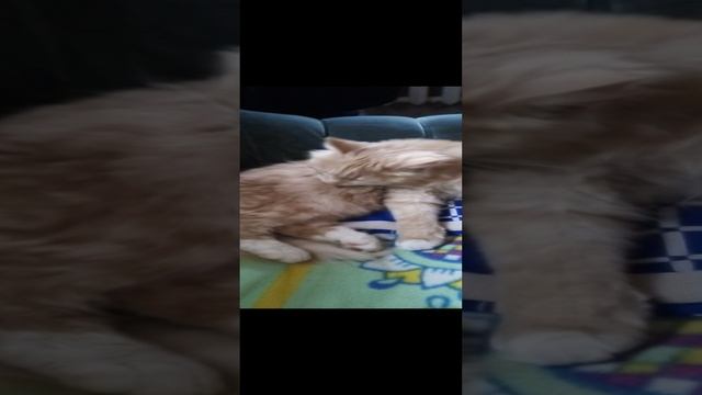 эстетичные, мои...
