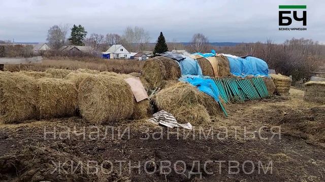 Жительница Черемшана Ирина Суворова 9 лет занимается животноводством