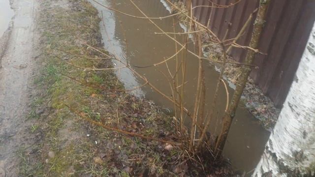 #дренаж #дренажнаяяма #вода #участок #оканавливание