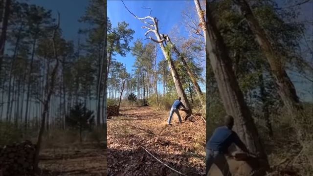 Memes From Internet Part 303