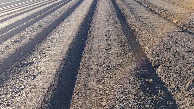 Подготовка почвы к раннему севу моркови и лука в Краснодарском края.