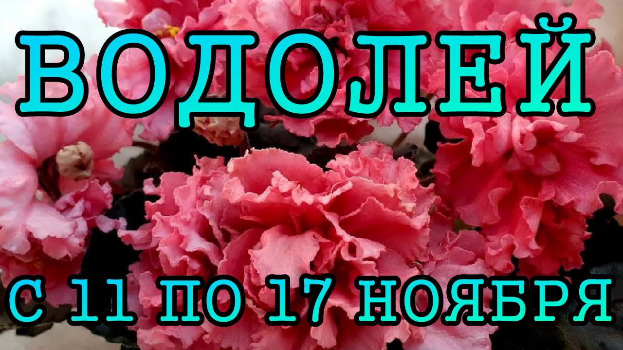 ВОДОЛЕЙ таро прогноз на неделю с 11 по 17 НОЯБРЯ 2024 года.