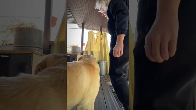 Моменты из жизни фельдшера скорой помощи