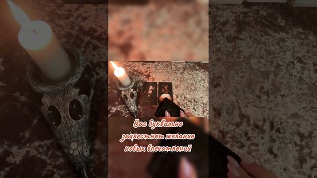 К чему приведёт новое знакомство? #tarot #раскладналюбовь #новоезнакомство