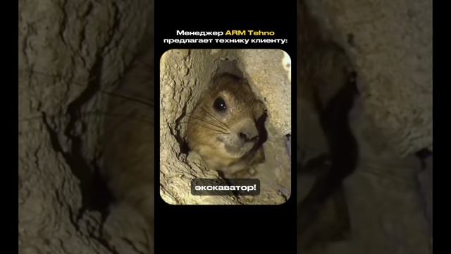 Менеджер предлагает технику клиенту