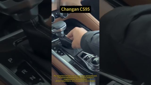 Changan CS95 Неповторимый автомобильный опыт в Jim-Auto-Haina!