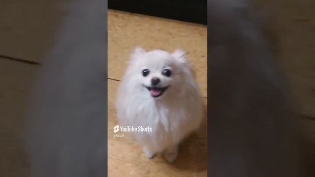 Асюша вкусно поела)